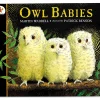 Owl Babies Big Book