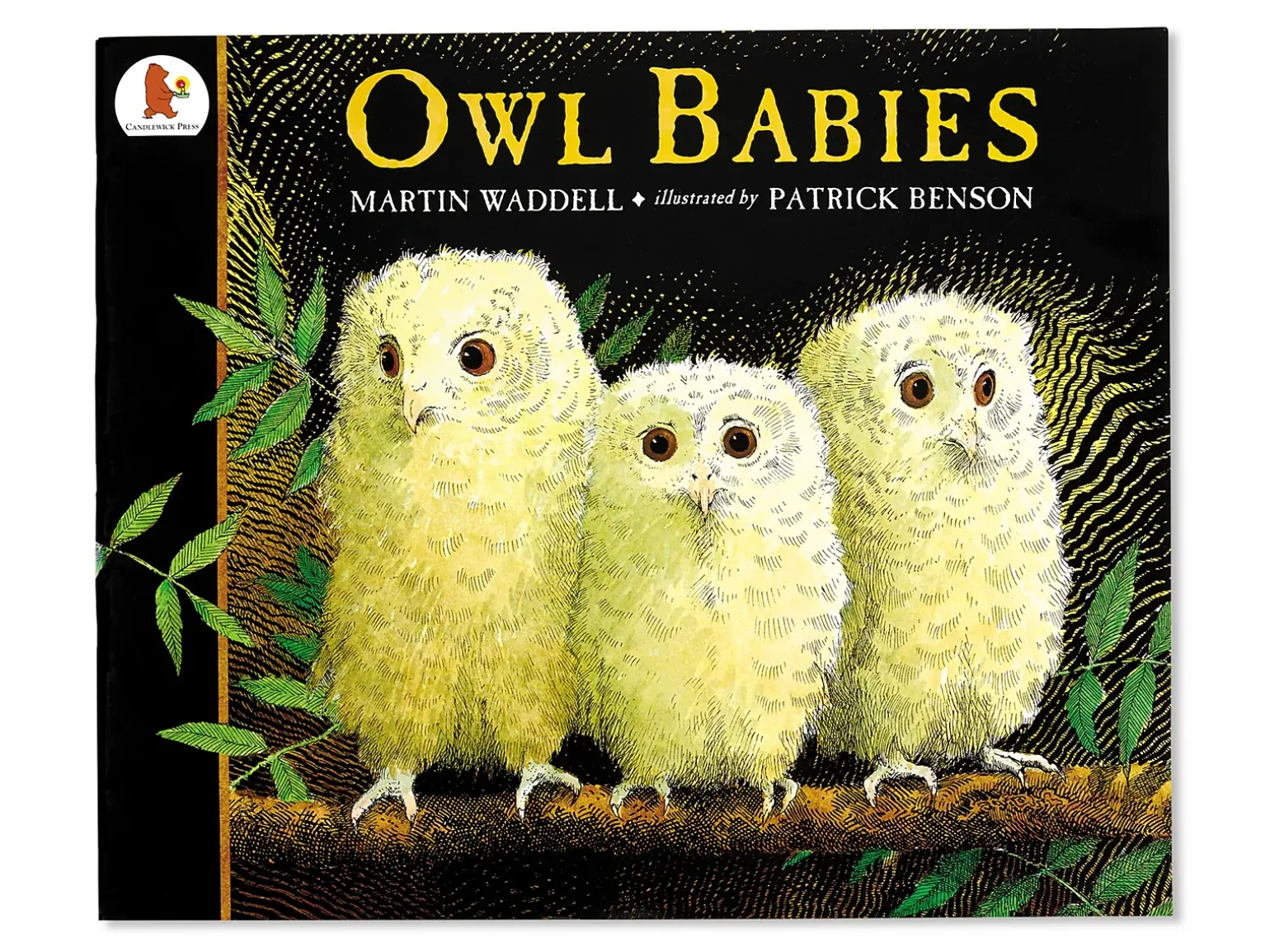 Owl Babies Big Book