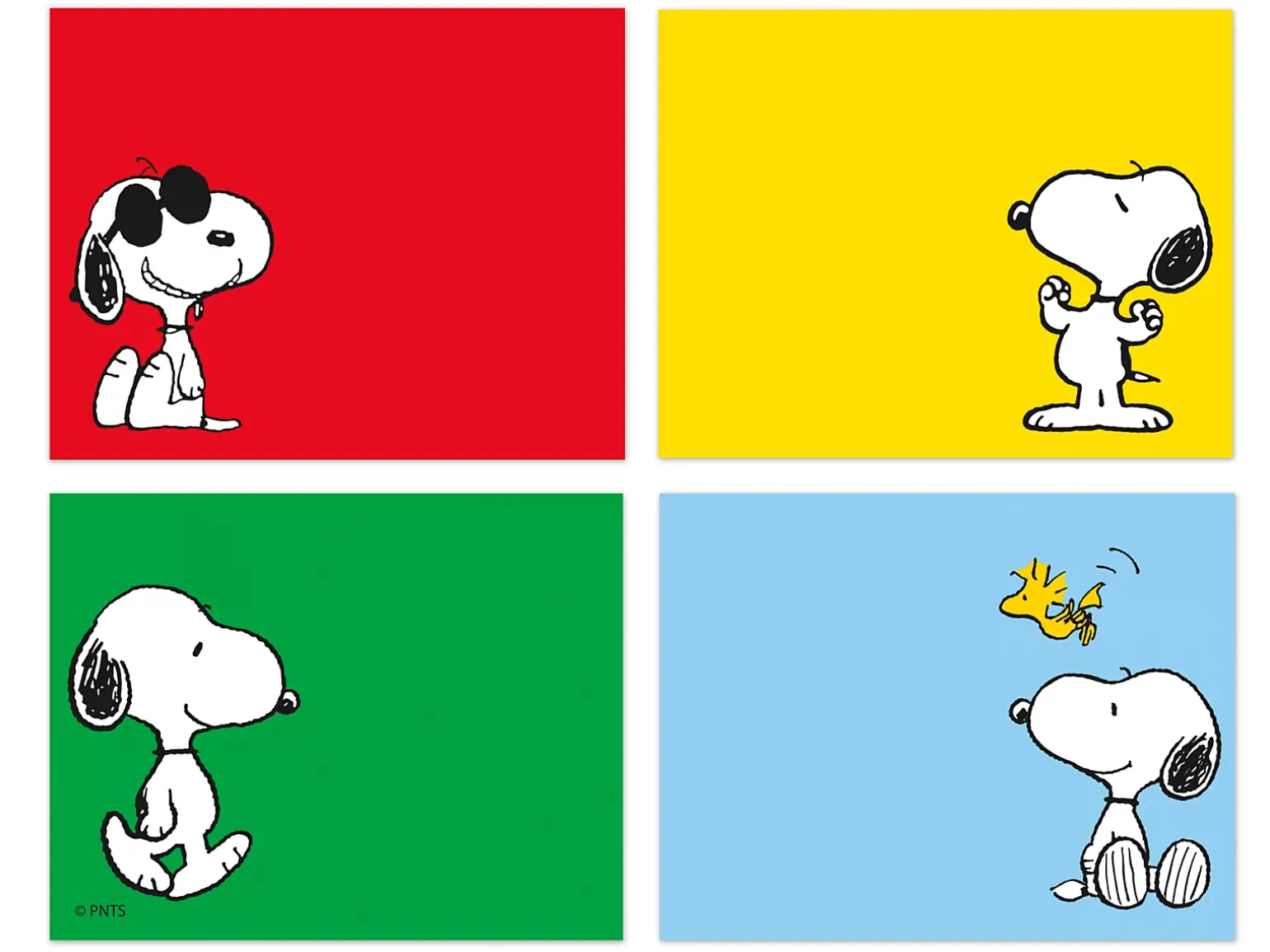 Peanuts® Name Tags - Variety Pack