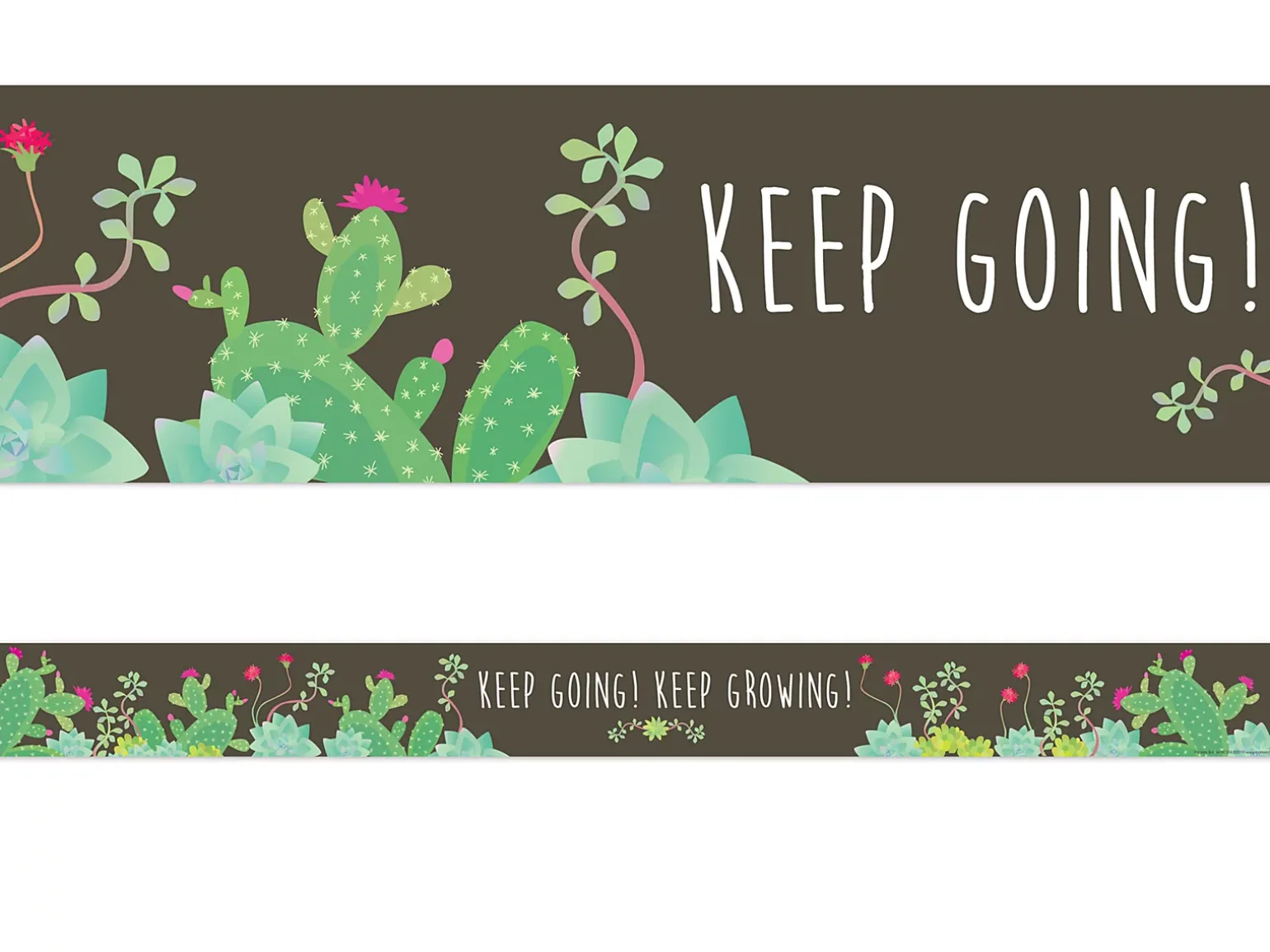 Petals & Prickles Double-Sided Succulent Border