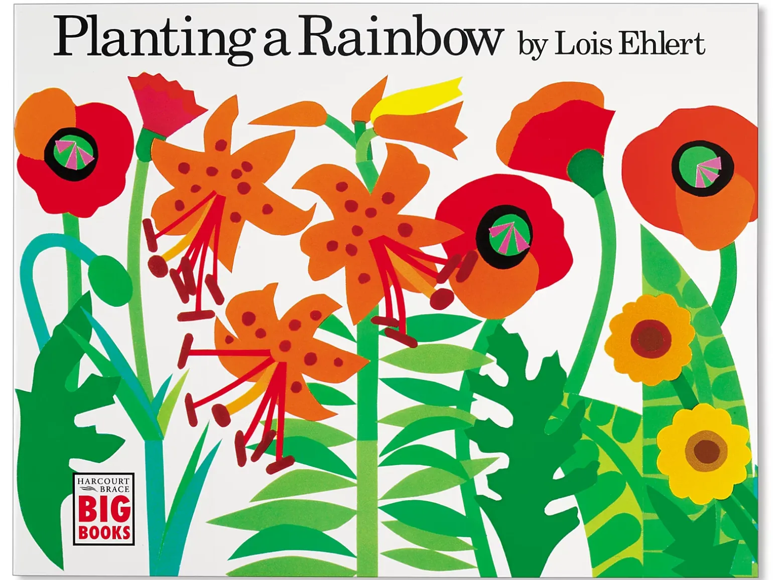 Planting a Rainbow Big Book
