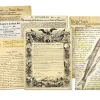Primary Source Magnetic Poster Pack