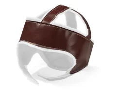 Protective Helmet