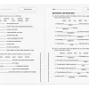 Read & Understand with Leveled Texts Workbook - Gr. 5