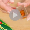 Real Bugs Discovery Kit