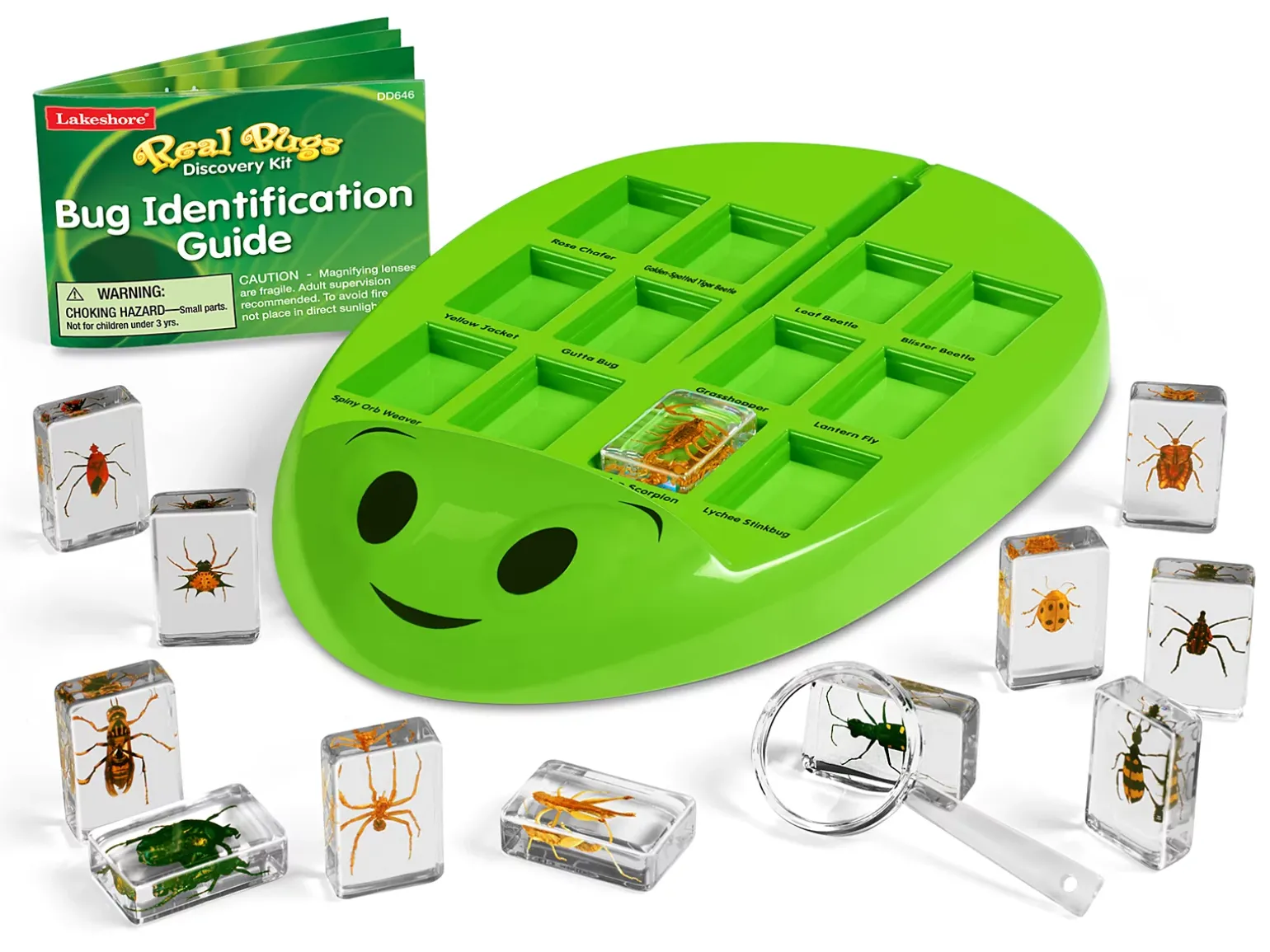 Real Bugs Discovery Kit