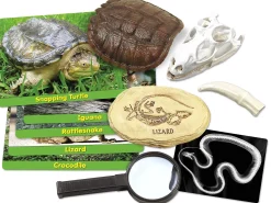 Reptiles Specimen Center