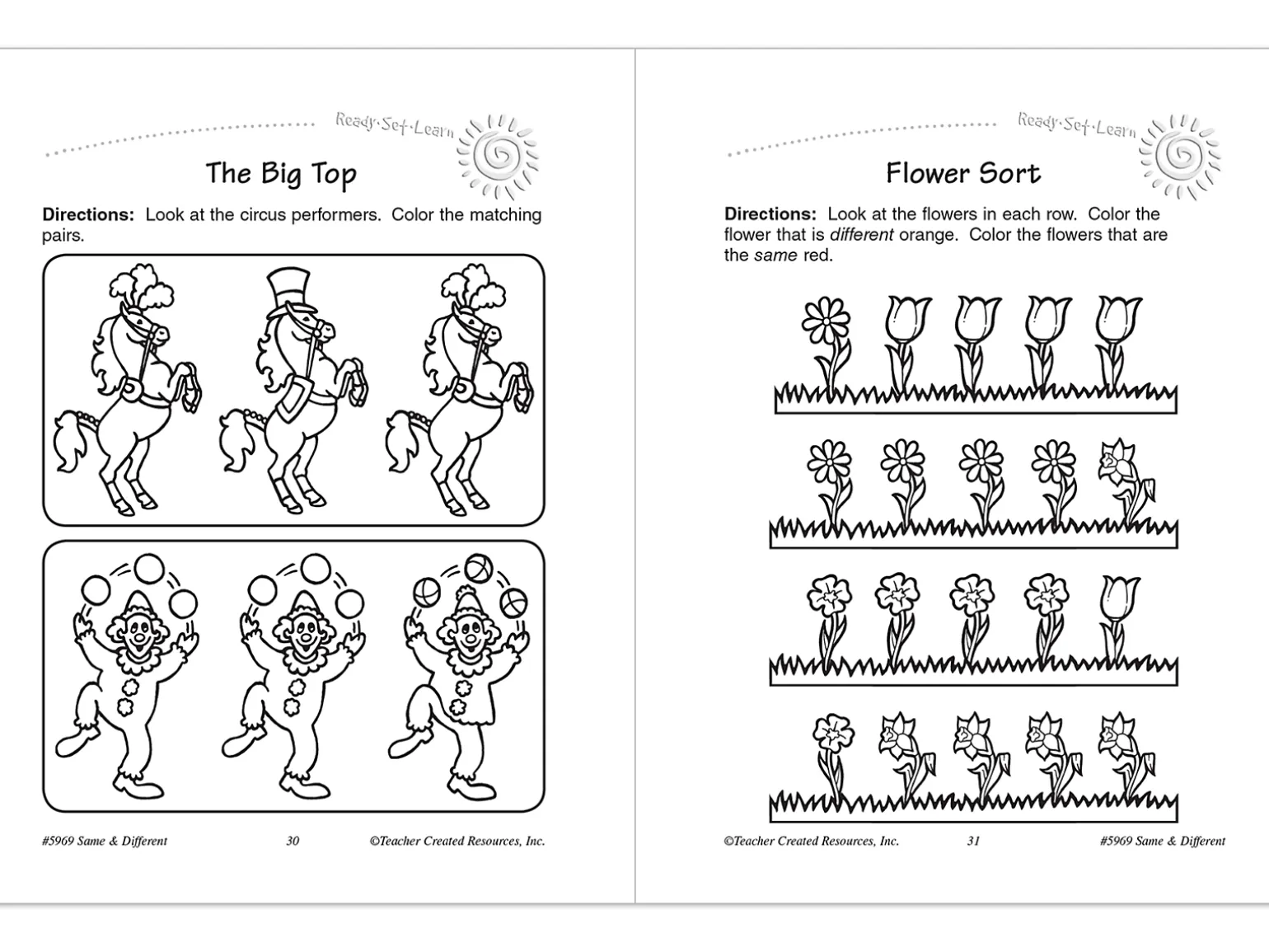 Same & Different Workbook