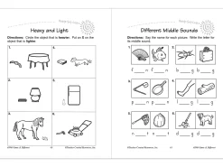 Same & Different Workbook