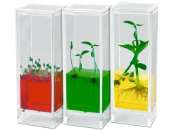See It Grow Plant Lab