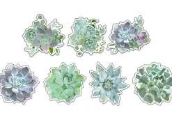 Simply Stylish Succulent Accents