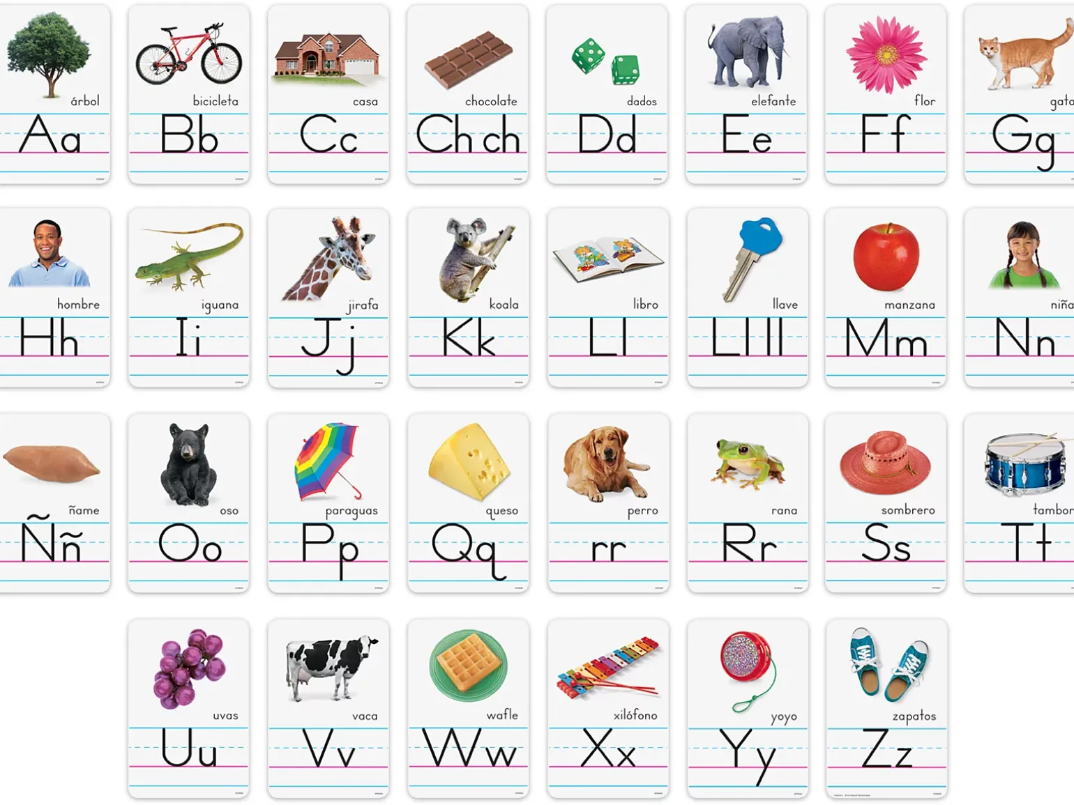 Spanish Alphabet Card Bulletin Board Set
