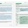 Spectrum® Writing Workbook - Gr. 4