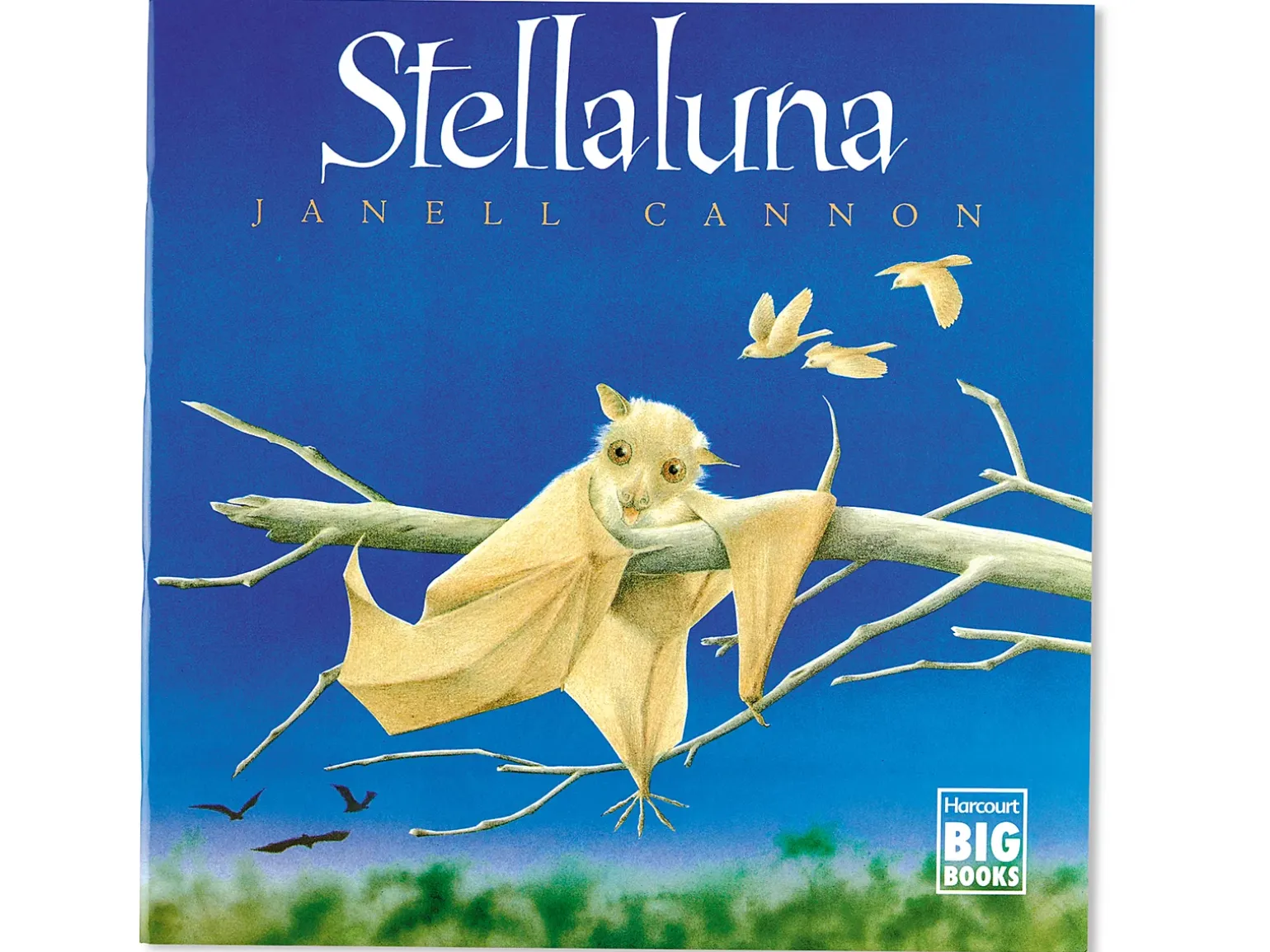 Stellaluna Big Book