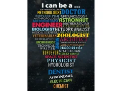 STEM Careers Poster
