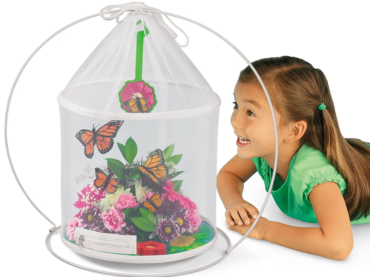 The Butterfly Nursery