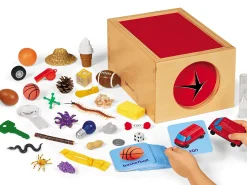 The Mystery Box
