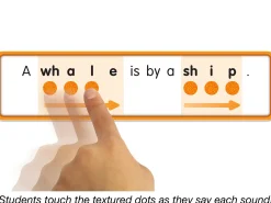 Touch & Read Blends & Digraphs Sentence Match