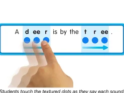 Touch & Read Vowel Sounds Sentence Match