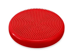 Wobble Cushion