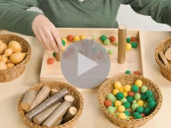 Woodland Wonders Loose Parts Discovery Kit