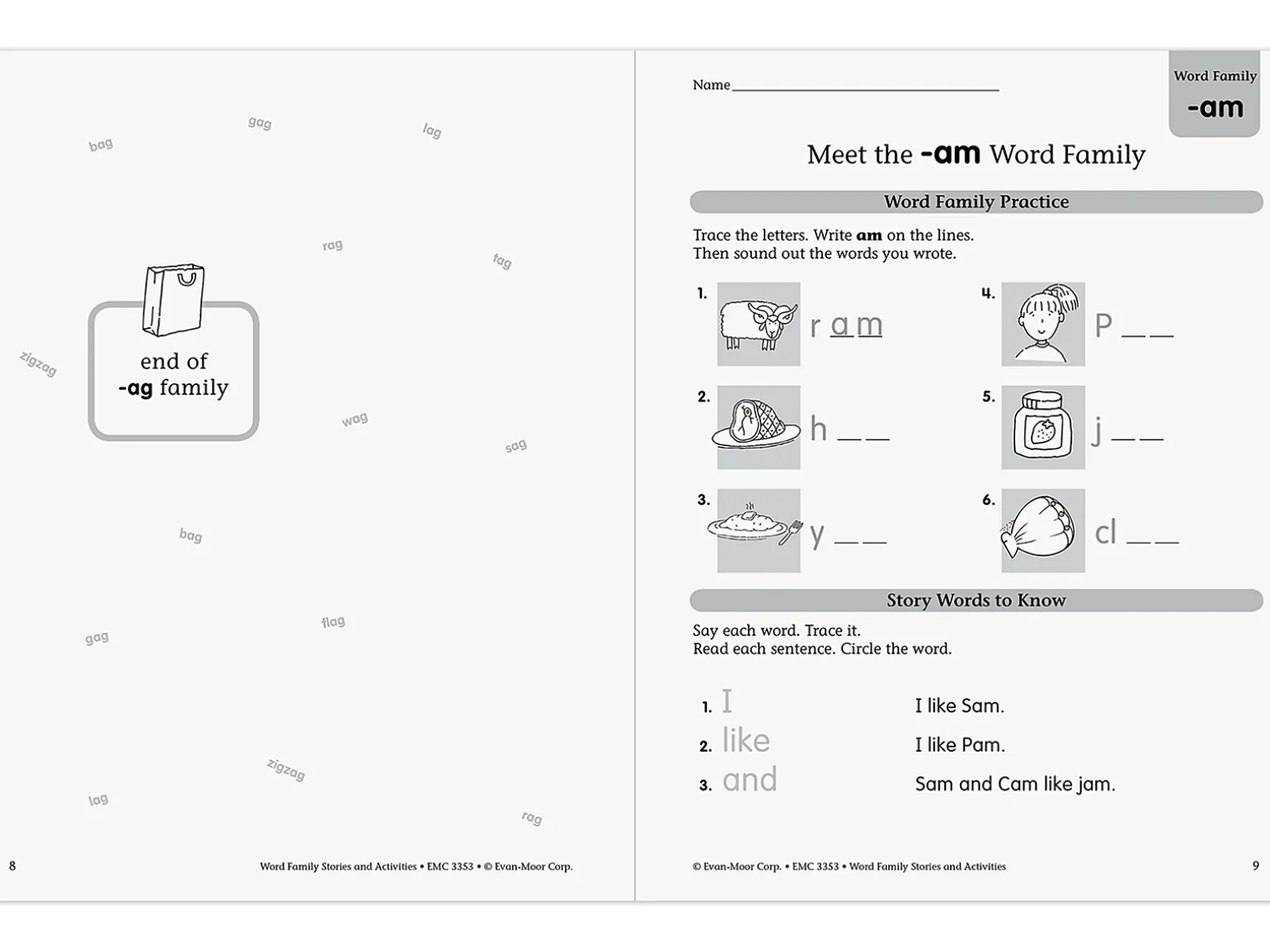 Word Family Workbook
