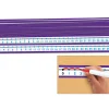 Write & Wipe Student Number Lines - Set of 30