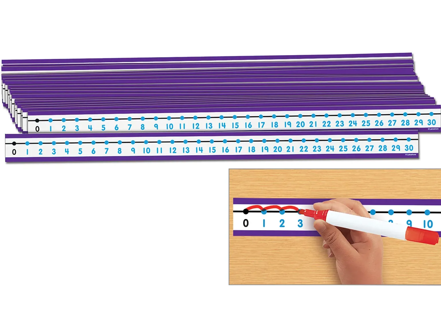 Write & Wipe Student Number Lines - Set of 30