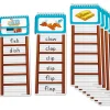 Write & Wipe Word Ladders - Blends & Digraphs